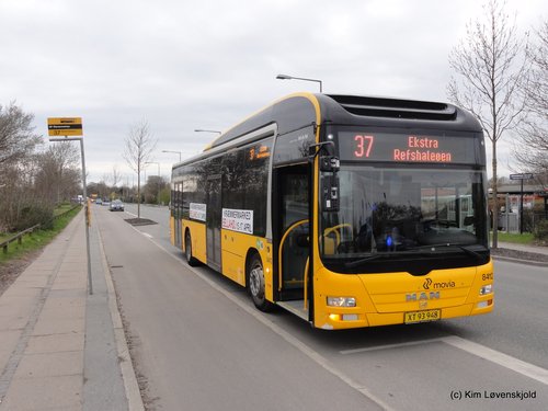 2011' MAN NL253 Lion's City Hybrid