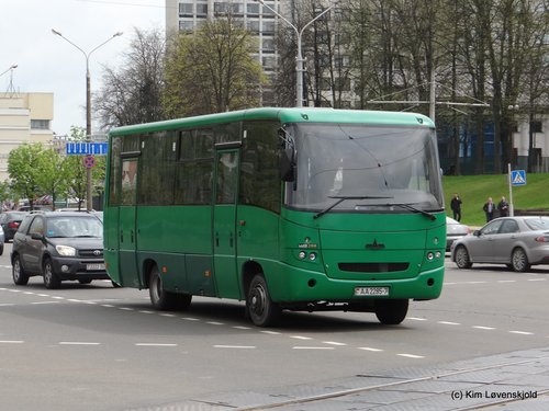 MAZ 256