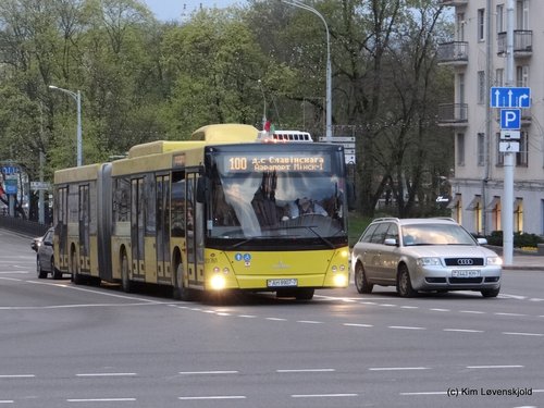 MAZ 215