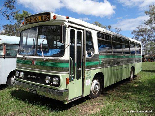1978' Bedford BLP2 Domino-Hedges