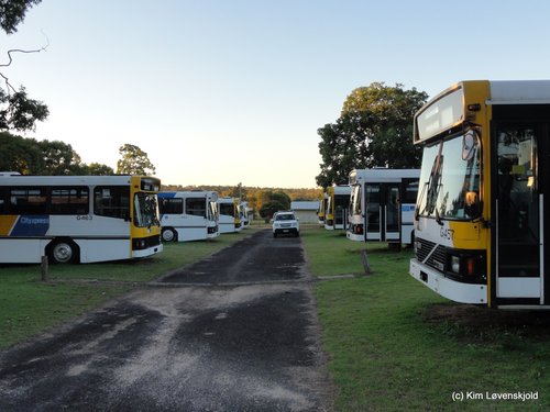 Volvo B10M-55 Comeng