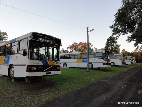 Volvo B10M-55 QBB