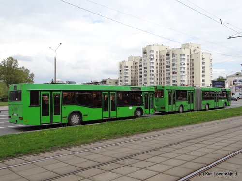 MAZ 103 & 105