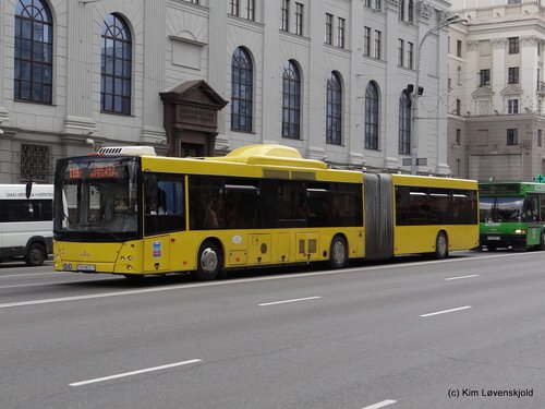 MAZ 215