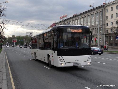 MAZ 231