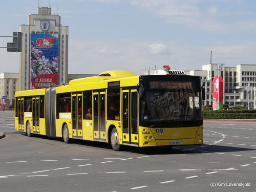 MAZ 215