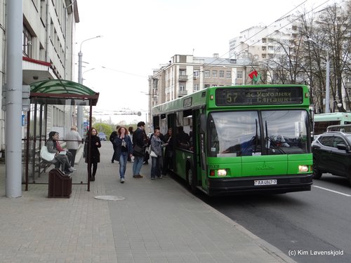 MAZ 103