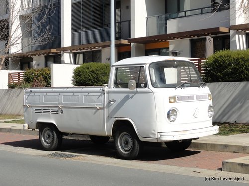 VW T2