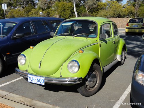 VW Beetle