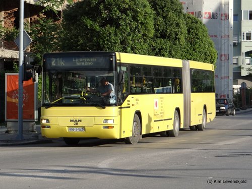 MAN SG313