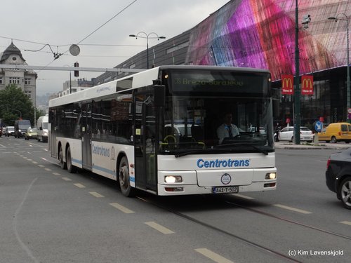 MAN NL313