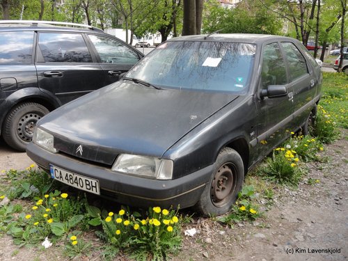 Citroen ZX