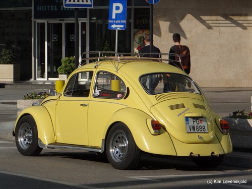 VW 1300