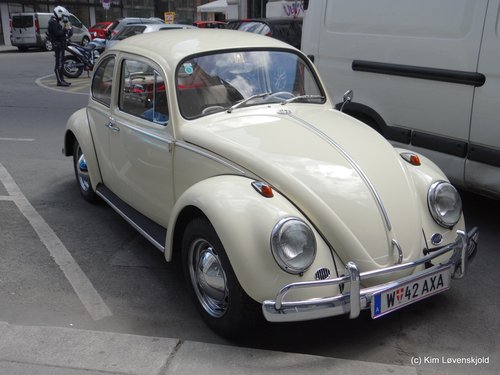 VW Beetle