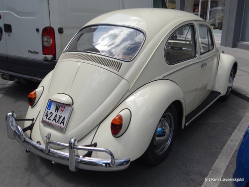 VW Beetle