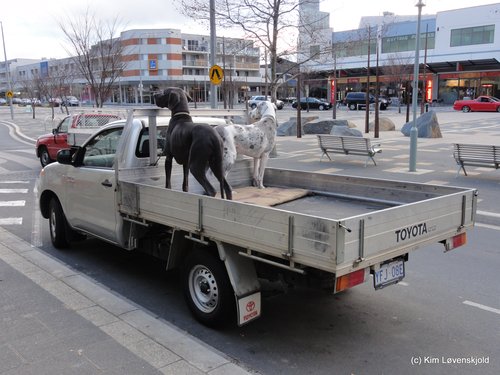 2007' Toyota Hilux