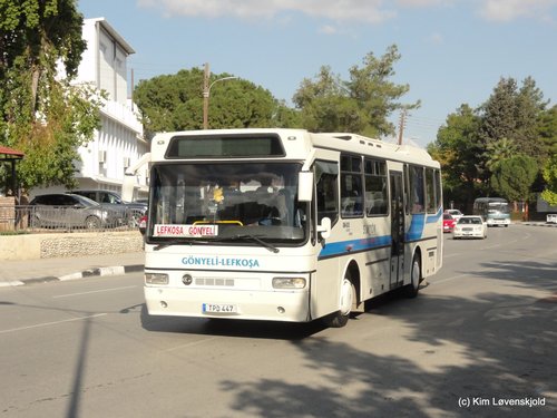 Güleryüz