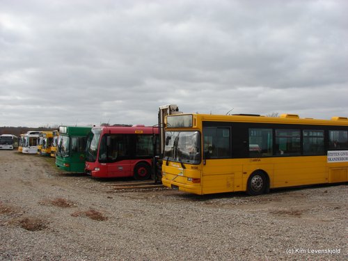 2010 03 29 037
