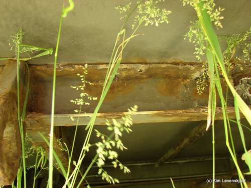 2011 06 27 118