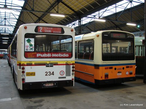 Van Hool A120 & 1977' Volvo B59-55 Van Hool
