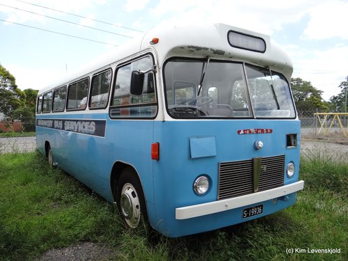 Commer