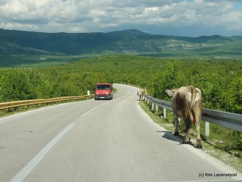 Bosnia and Herzegovina