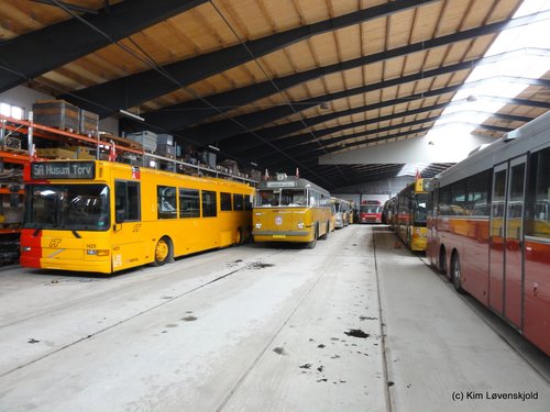 Preserved buses in stock at the Tram Museum