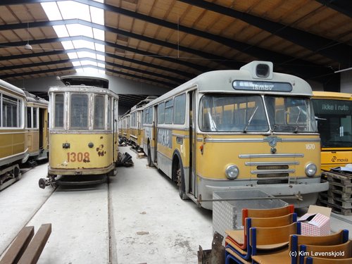 Museum tram & buses