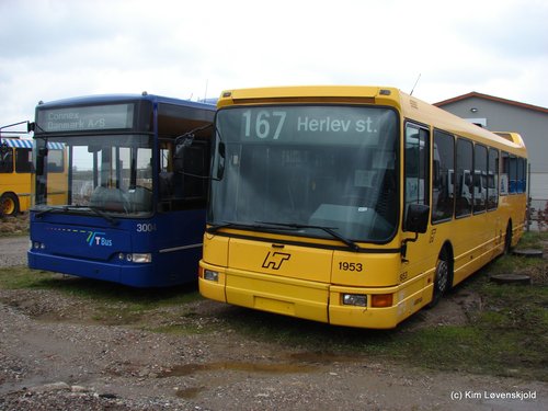 1999' DAF SB220 GG-LF LPG Berkhof Viking & 1995' DAB 15-1200C