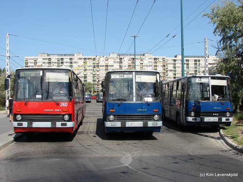 3 x Ikarus