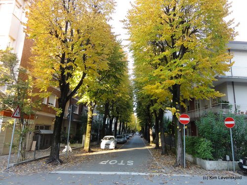 Rimini, Italy