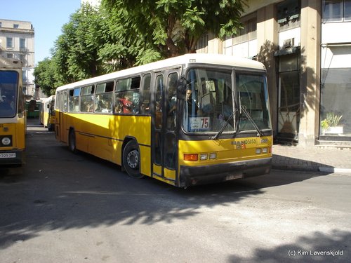MAN Alpha Bus
