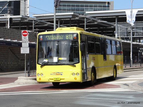 2002' Csepel 844.19 Custom Coaches CB50