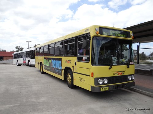 1991' Volvo B10M Custom Coaches