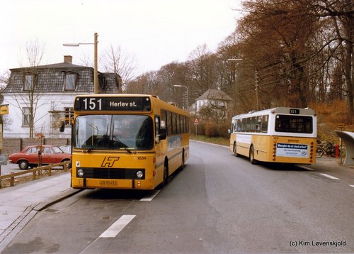 1984' Leyland 8-1200B DAB & 1981' Leyland 6-1-690/5 DAB series 6