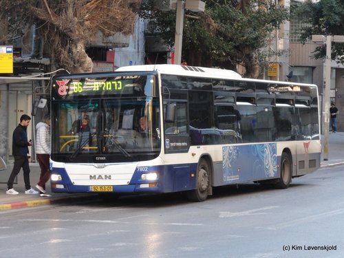 MAN Lion's City Haargaz