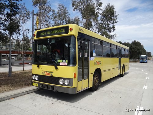 1989' Volvo B10M Custom Coaches