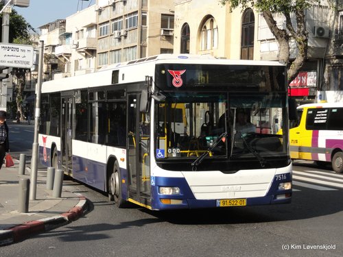 MAN Lion's City Merkavim