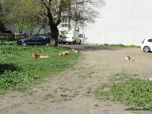 Sofia, Bulgaria