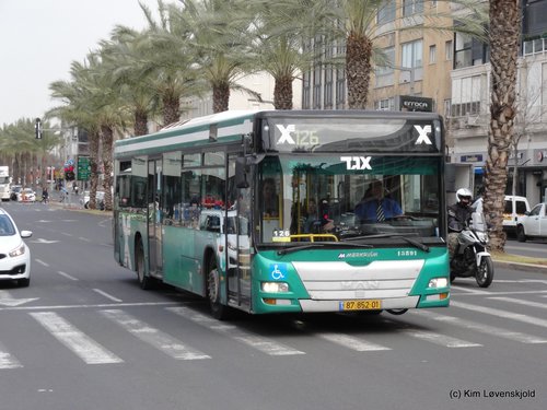 MAN Lion's City Merkavim