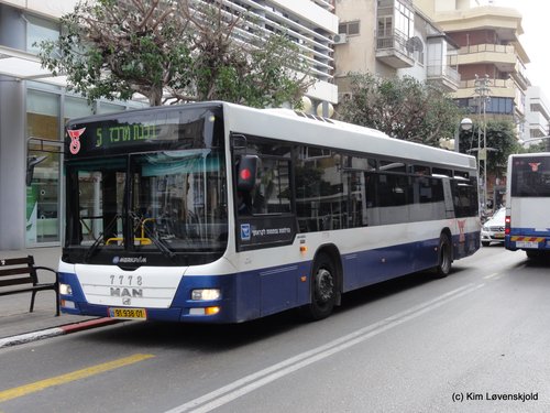 MAN Lion's City Merkavim
