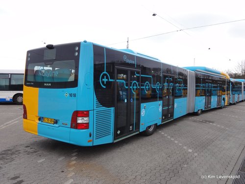 2017' MAN NG313 CNG Lion's City GL