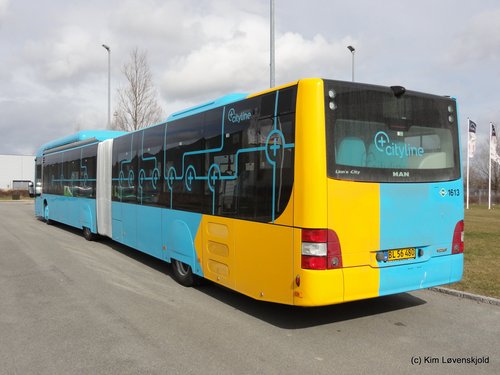 2017' MAN NG313 CNG Lion's City GL
