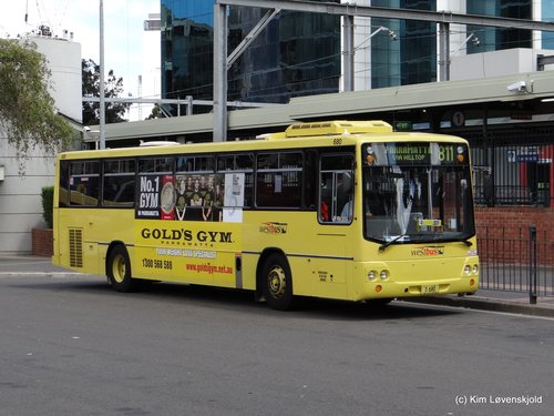 2002' Csepel 844.19 Custom Coaches CB50