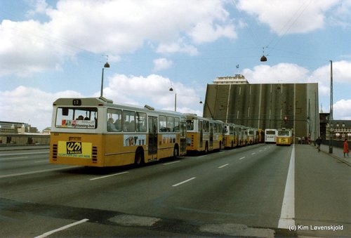 HT buses