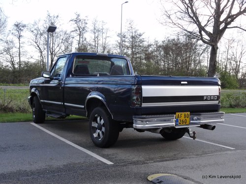 1996' Ford F150