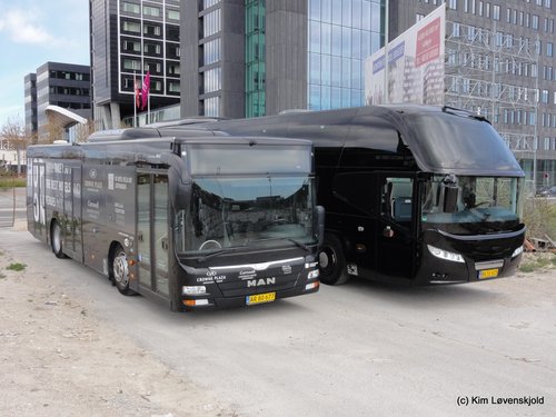 2014' MAN Lion's City M & 2012' Neoplan Cityliner