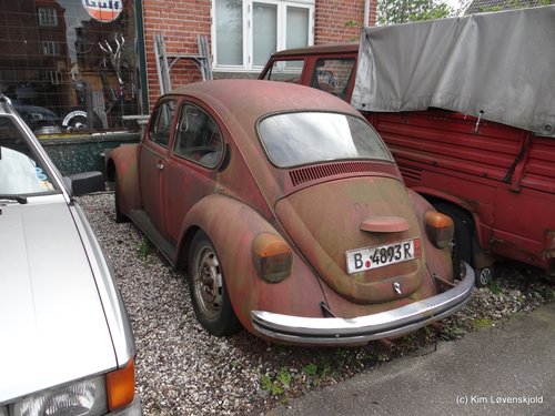 VW Beetle