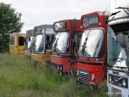 Leyland DAB buses in a private collectors yard