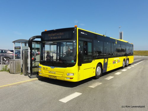 2016' MAN NL323 Lion's City L